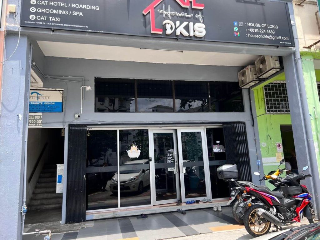 0eab5543-2508-4f57-8738-94d7d5dc6d7c_11zon - TINTED RUMAH BANGUNAN PEJABAT TAWARAN HEBAT TINTED KEDAI CERMIN TINGKAP DAMANSARA KIM