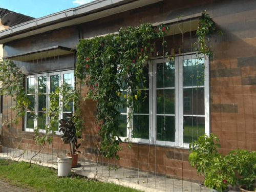 TINTED RUMAH BANGUNAN PEJABAT BUKIT RAHMAN PUTRA 